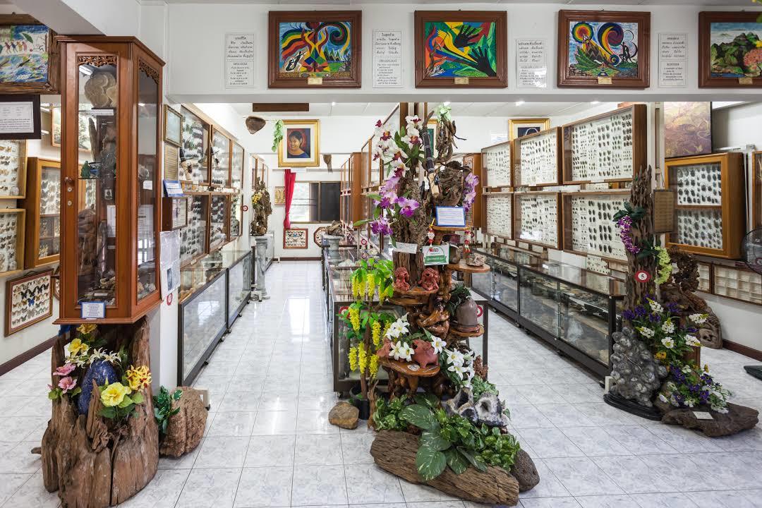 Musée des insectes du monde et des merveilles naturelles