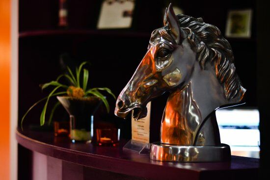 Cavalli Room