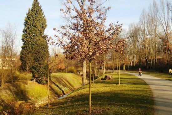Parc de Stromovka