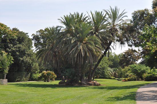 Parc Olbius-Riquier