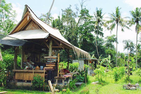 Mai Organic Farm