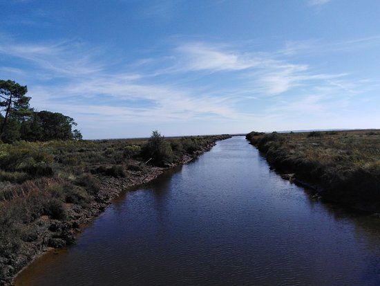 Reserve Naturelle des Pres Sales d'Ares et de Lege