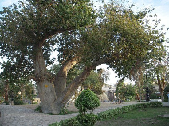 Feryal Garden