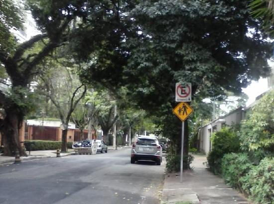 Jardins District