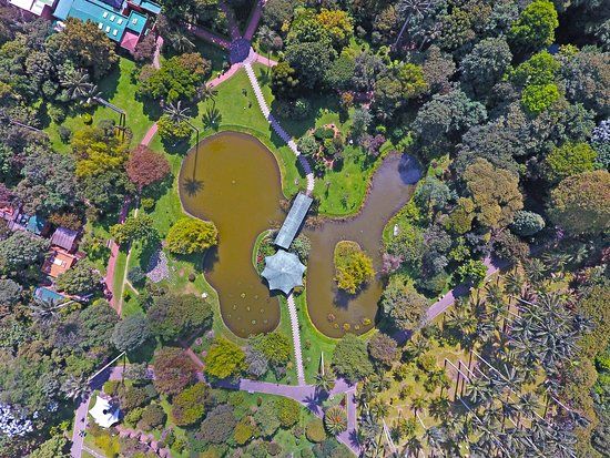 Jardin botanique José Celestino Mutis