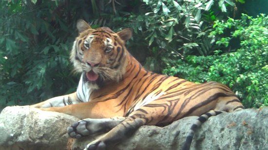 Zoo de Dusit