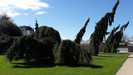 Jardin des Plantes