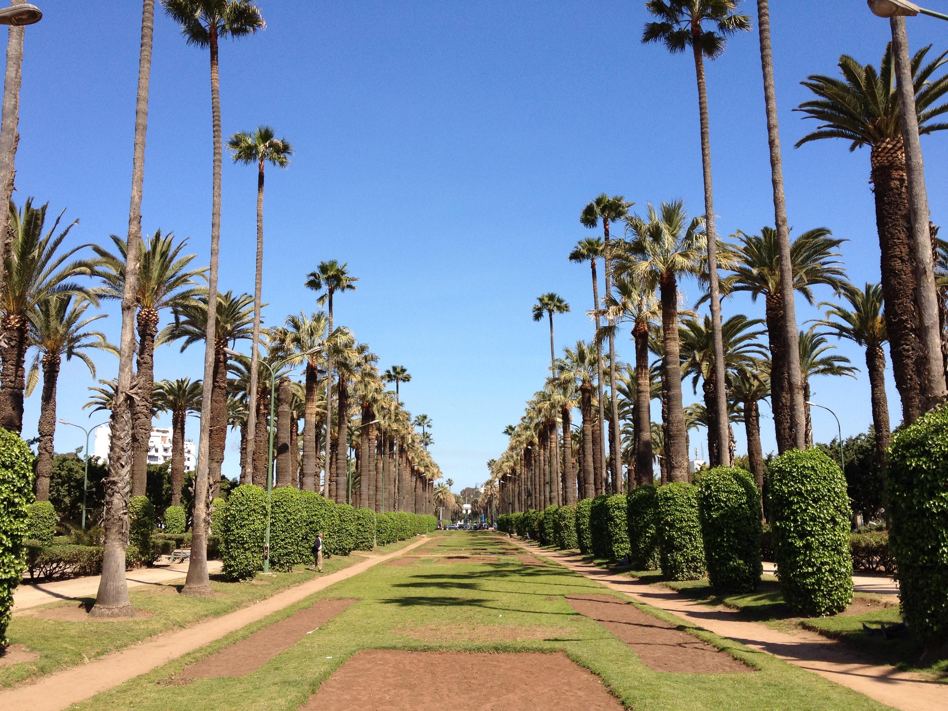Parc de la Ligue arabe