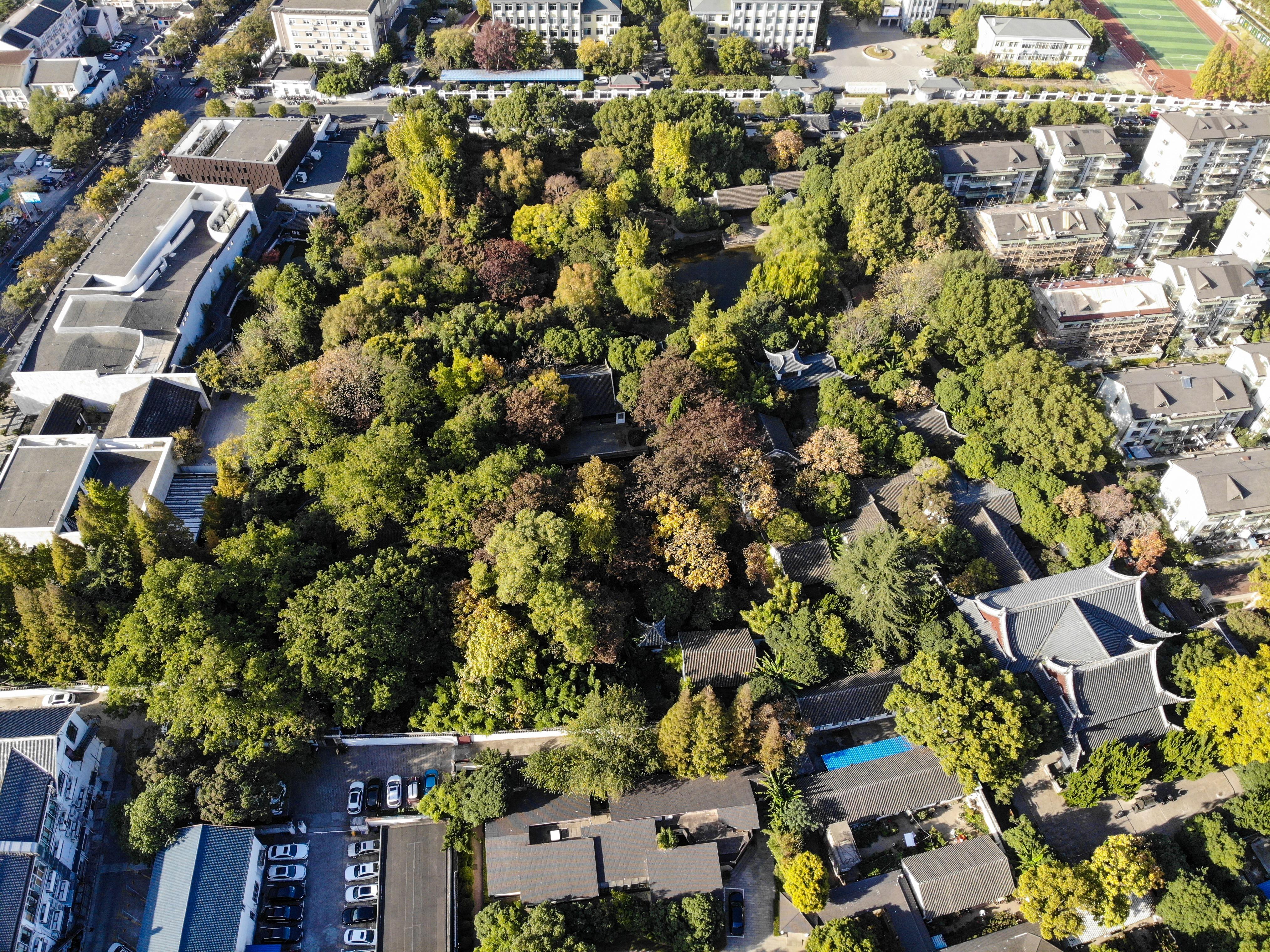 Jardin Qiuxia