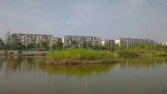 Parc Zhangheng