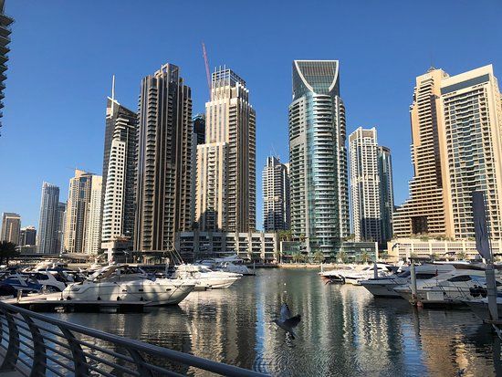 Marina de Dubaï