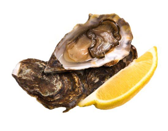 Mussel Inn
