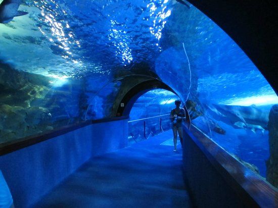 Aquarium de Saint-Sébastien