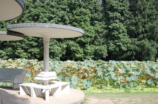 Parc de Huangxing