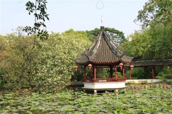 Parc de Zuibaichi