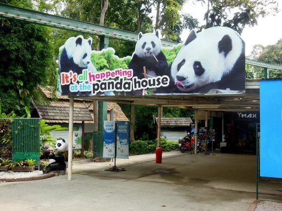 Zoo de Chiang Mai