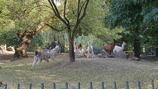 Parc zoologique de Varsovie