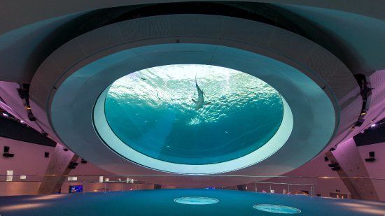 Musée des sciences Phillip et Patricia Frost