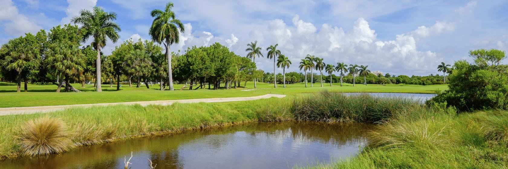 Golf Son Vida