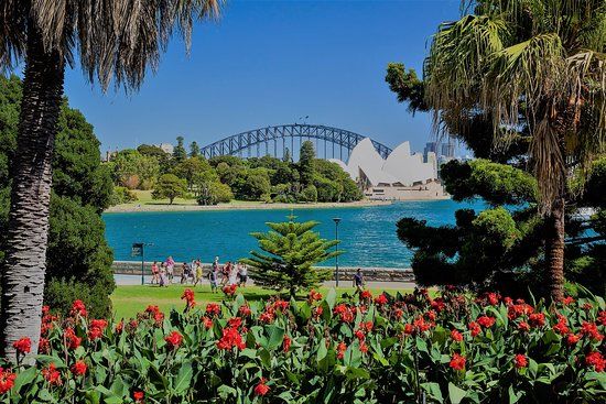 Jardins botaniques royaux de Sydney