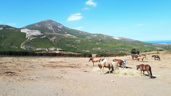 Ranch U Tragulinu