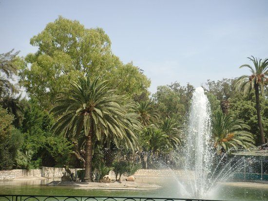 Parc du Belvédère