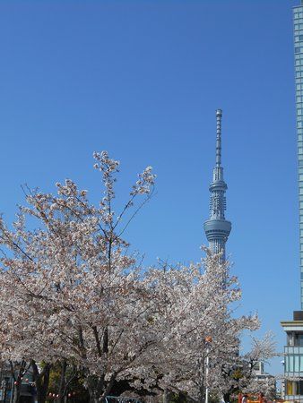 Parc Kinshi